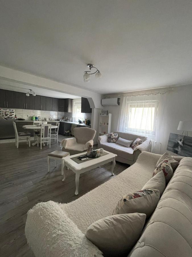 Antic Apartment Požarevac Εξωτερικό φωτογραφία